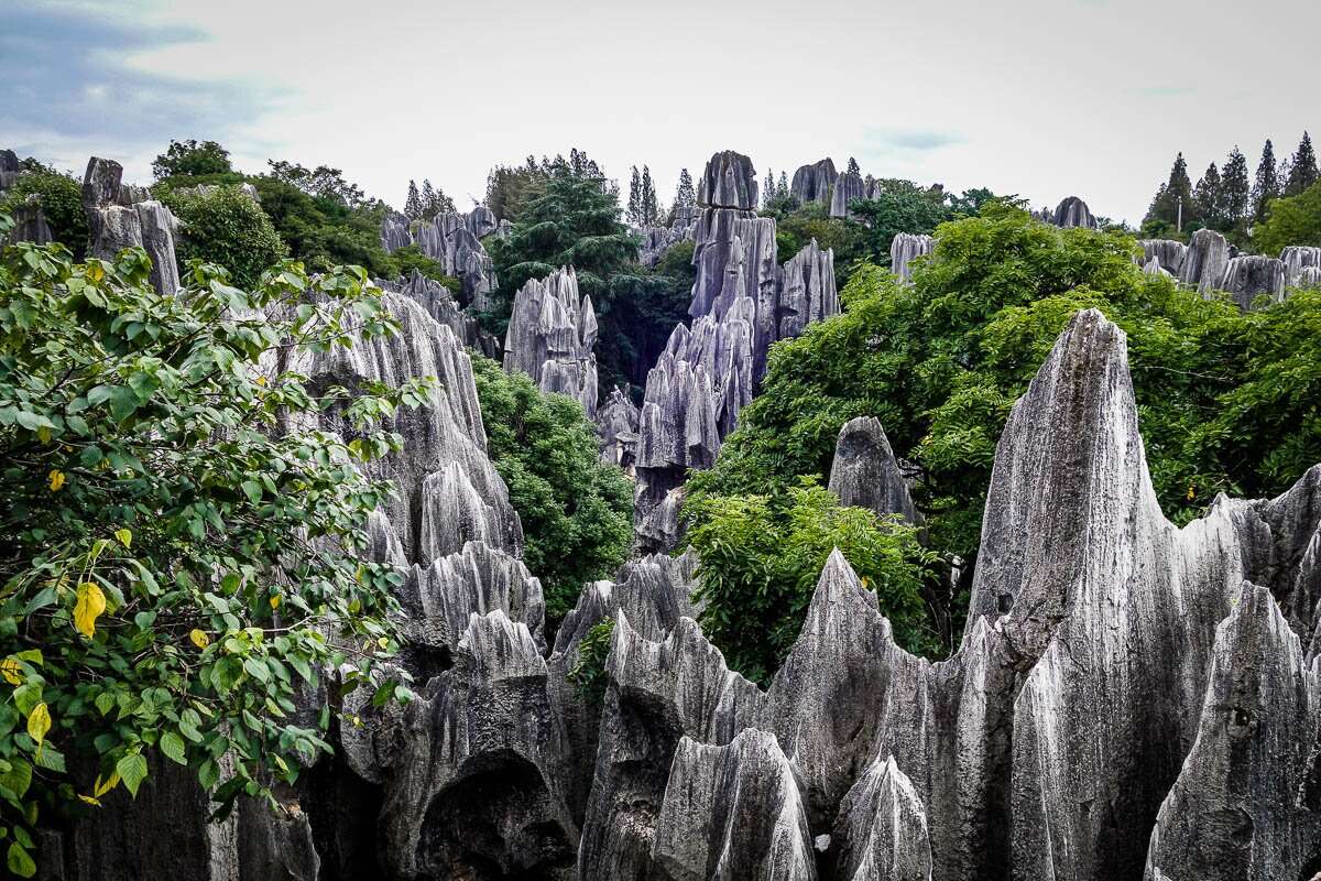 Каменный лес шилинь ландшафтный феномен в китае