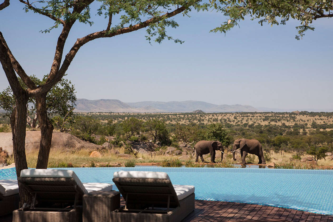 Отель Four Seasons Safari Lodge Serengeti в Танзании