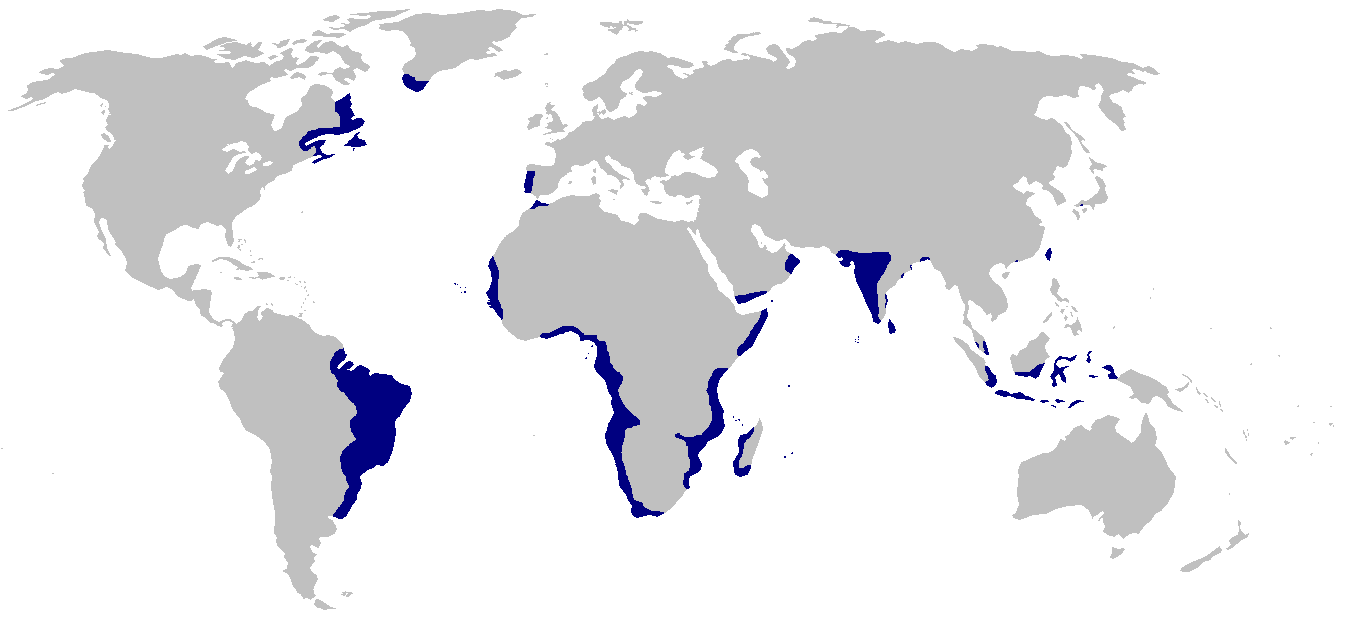 Карта португальской империи