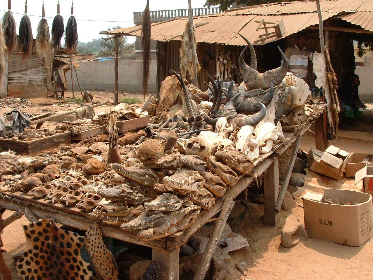 Пятнистый водоем Рынок Вуду в Того